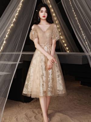 Champagne Tulle Lace V-neck Short/Mini Prom Homecoming Dress