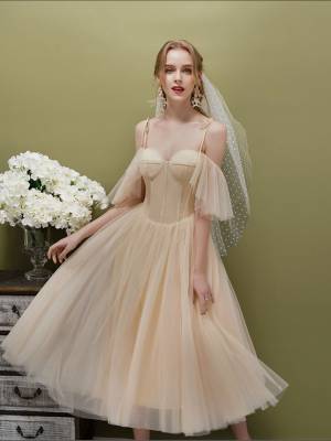 A-line Champagne Tulle Short/Mini Homecoming Dress
