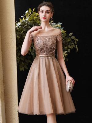 Champagne Tulle Round Neck With Sequin Short/Mini Prom Homecoming Dress