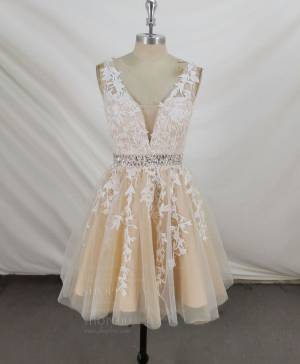 Champagne Tulle Lace V-neck Short/Mini Prom Homecoming Dress