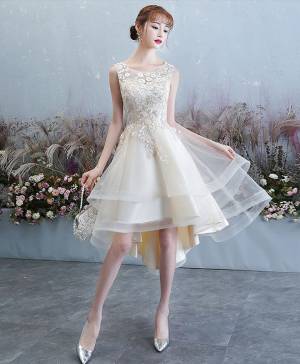 Champagne Tulle Lace Prom Homecoming Dress