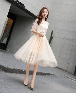 Champagne Tulle Short/Mini Prom Homecoming Dress