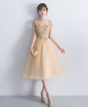 Champagne Tulle Lace Round Neck Short/Mini Prom Homecoming Dress