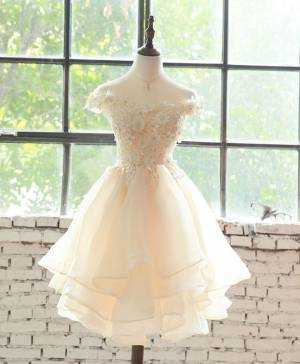 Champagne Lace Tulle Short/Mini Prom Homecoming Dress