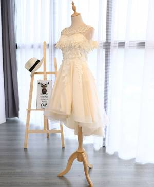 Champagne Lace Tulle Round Neck Short/Mini Prom Homecoming Dress