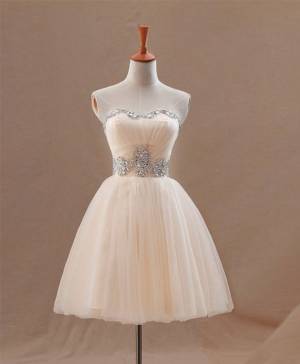 Champagne Tulle A-line Short/Mini Prom Homecoming Dress