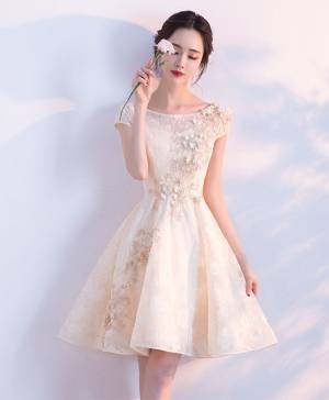 Champagne Tulle Lace A-line Short/Mini Prom Homecoming Dress