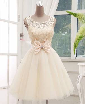 Champagne Lace Tulle Short/Mini Lovely Prom Homecoming Dress