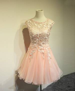 Lace Round Neck Short/Mini Cute Prom Homecoming Dress