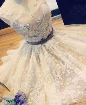 Champagne Lace Short/Mini Cute Prom Evening Dress