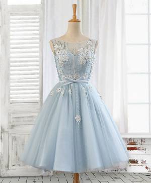 Blue Lace Tulle A-line Short/Mini Cute Prom Homecoming Dress